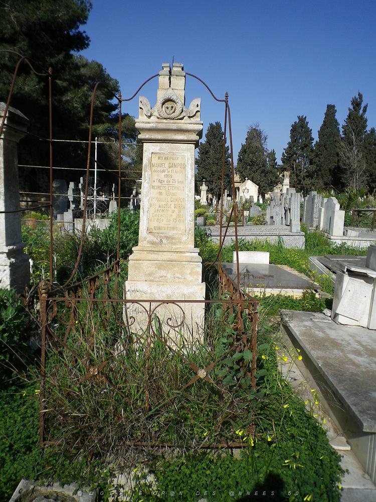 CIMETIERE DE TAMAZOUHET D ORAN EN MARS 2012  (89).JPG